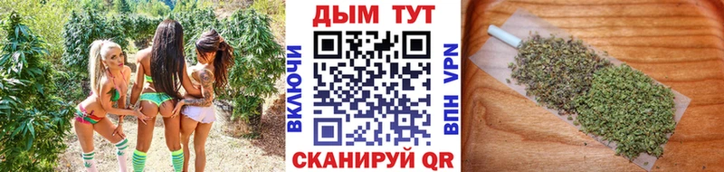 МАРИХУАНА сатива  Олонец 